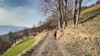 Auf-dem-Mitterweg-führt-die-Wanderung-nach-Lajen-zurück