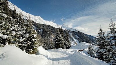 Auf-flotten-Kufen-zurück-nach-Maiern