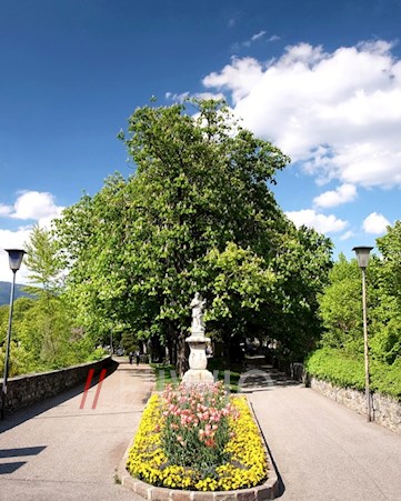 Die-Rappanlagen