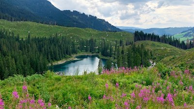 Der-Weg-Nr-10-öffnet-schöne-Ausblicke-auf-den-Karersee