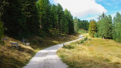 Sanft-windet-sich-der-Weg-in-Richtung-Maurerberg